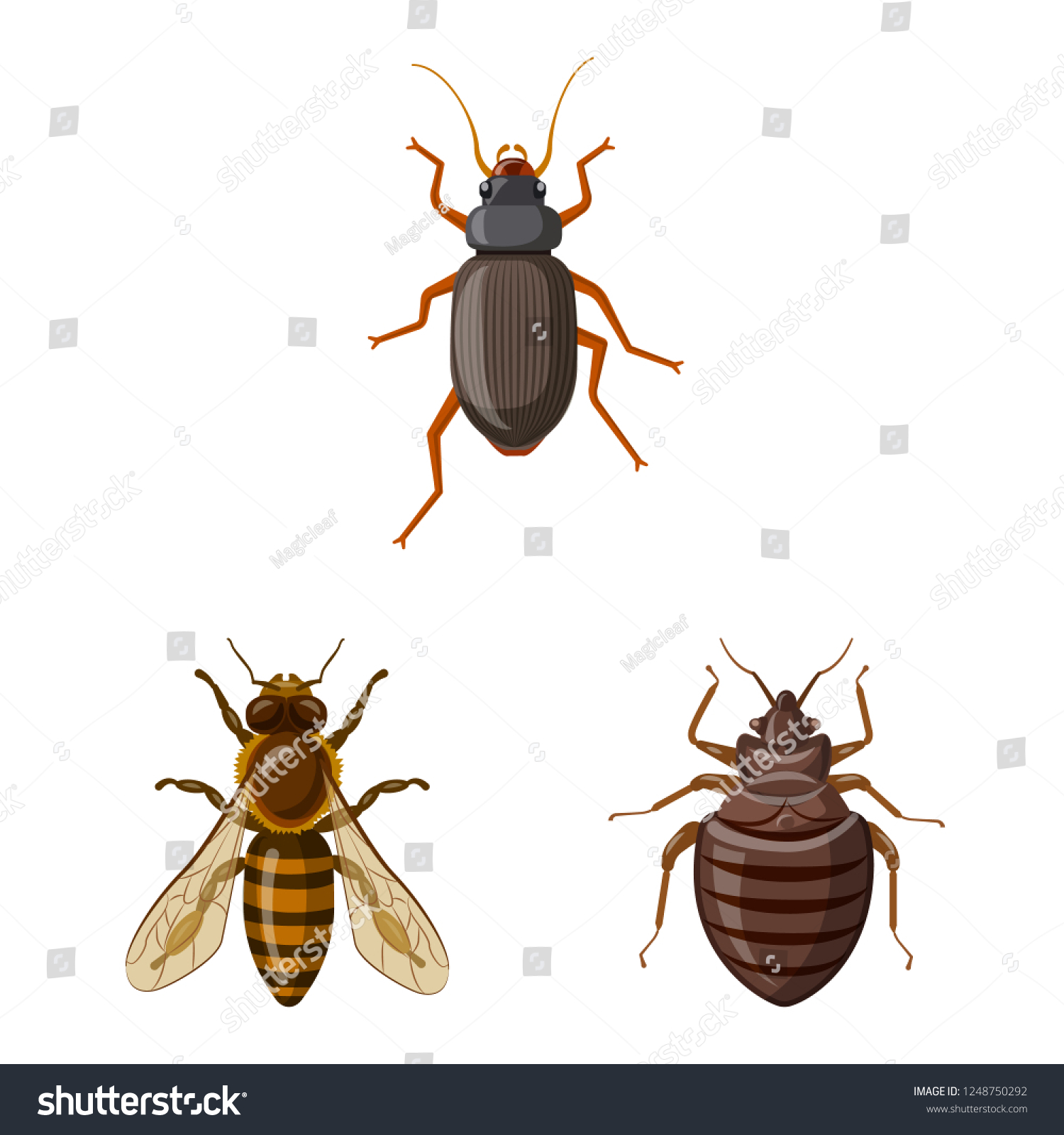 collection of insect and element stock symbol for web