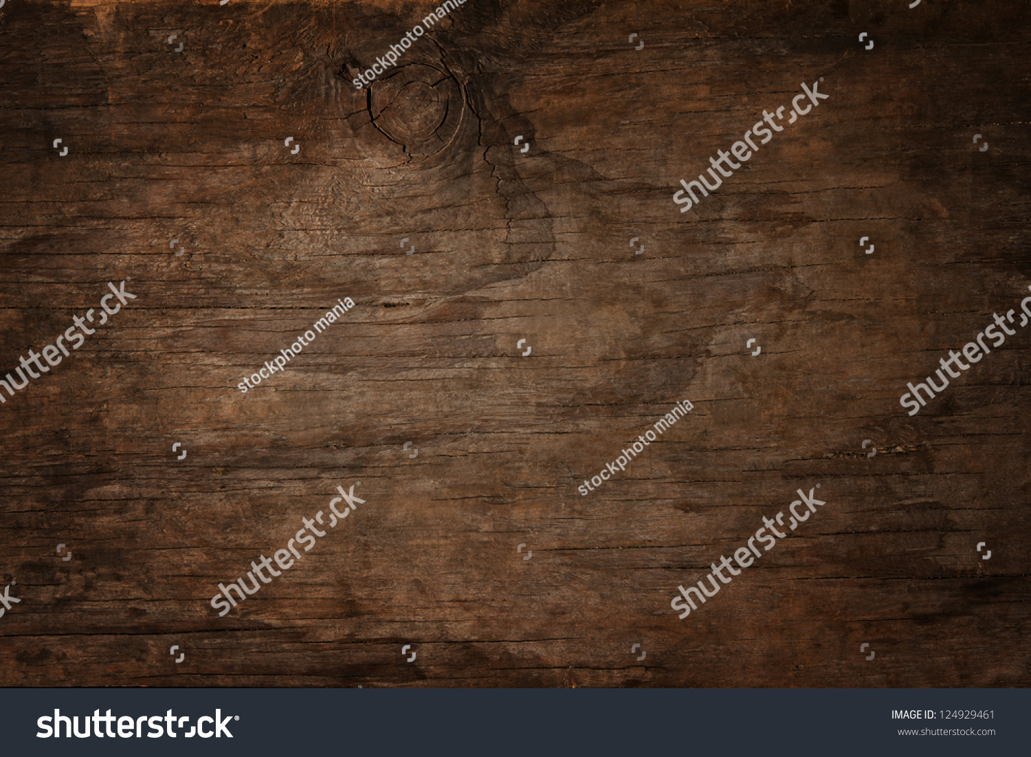 texture of bark wood use as natural background