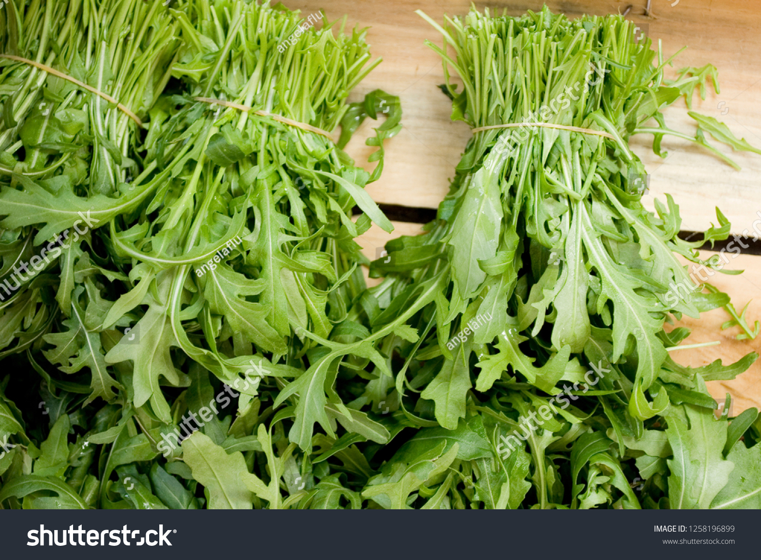 rocket  arugula or rucola salad  fresh  local vegetable market