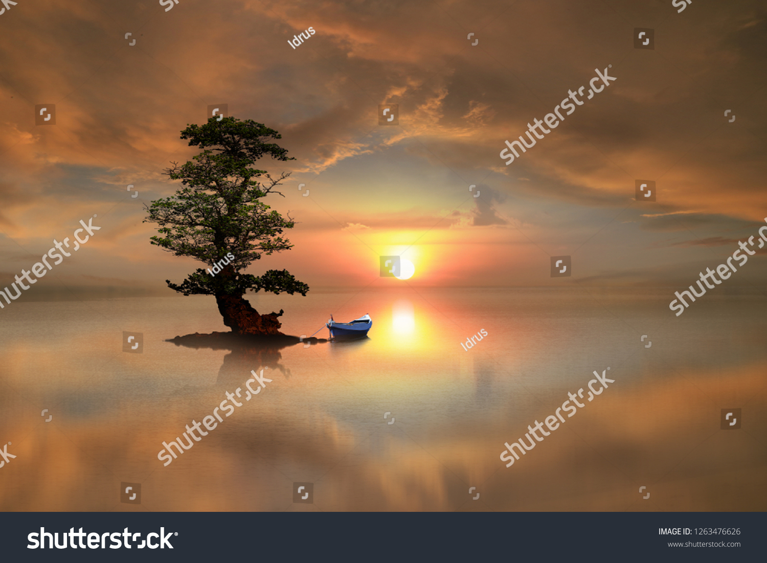 lonely tree and a boat