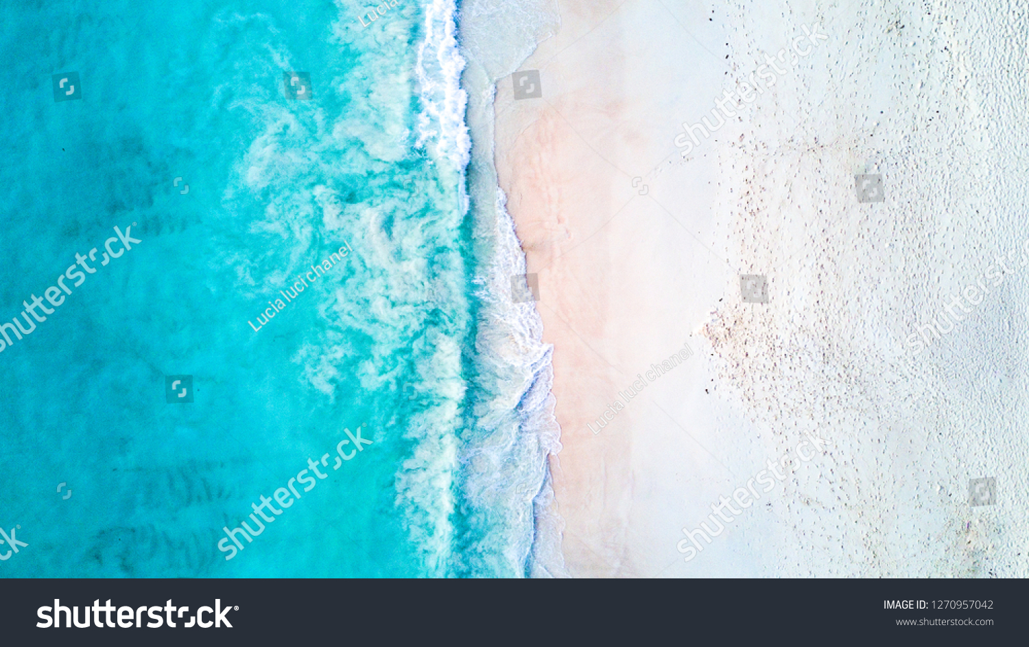 Ocean Beach  beautiful landscape  travel and vacation. 