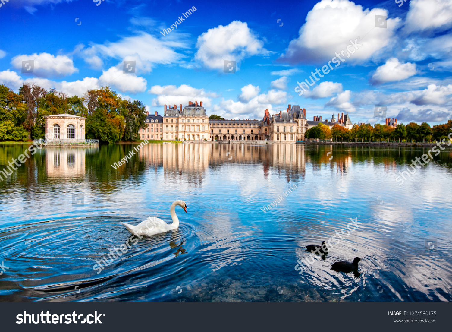 Swan Lake in front of Fontainebleau Castle  France