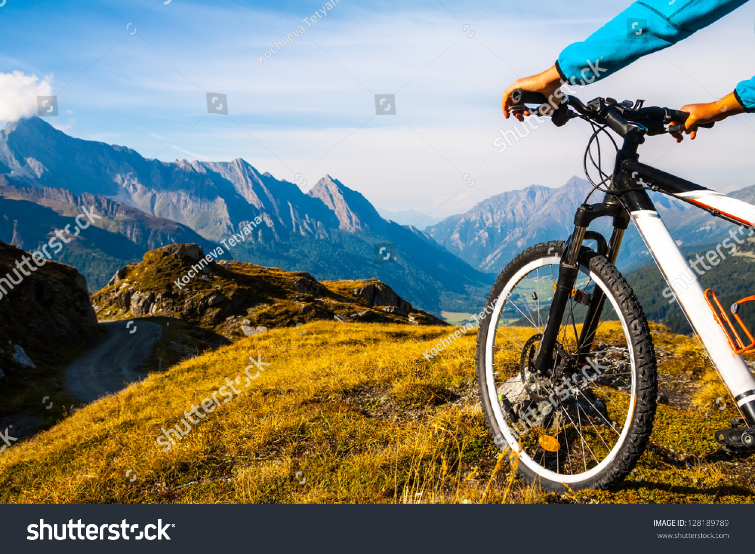 Mountain bike wheel and sommer alpine  landscape