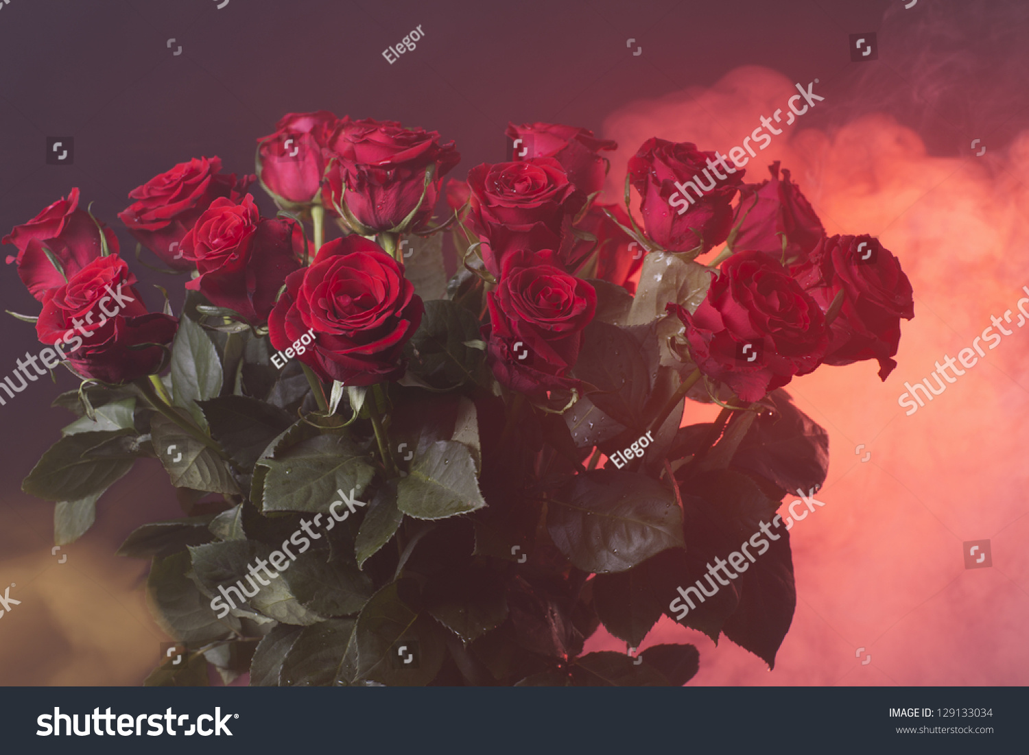 bouquet of red roses on red  smoky