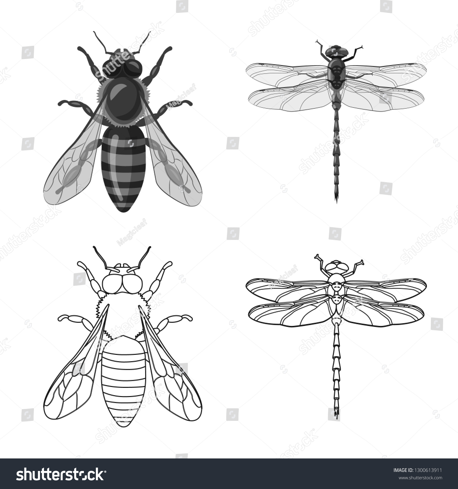 vectorillustrationofinsectandflysymbolsetofinsectandelement