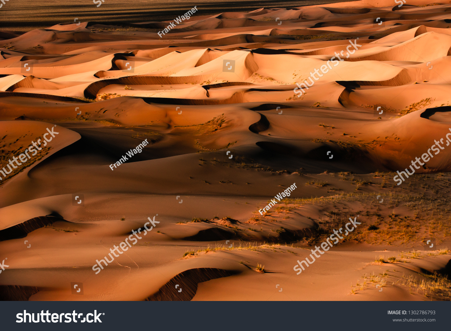 Sanddunes in the desert gobi in mongolia