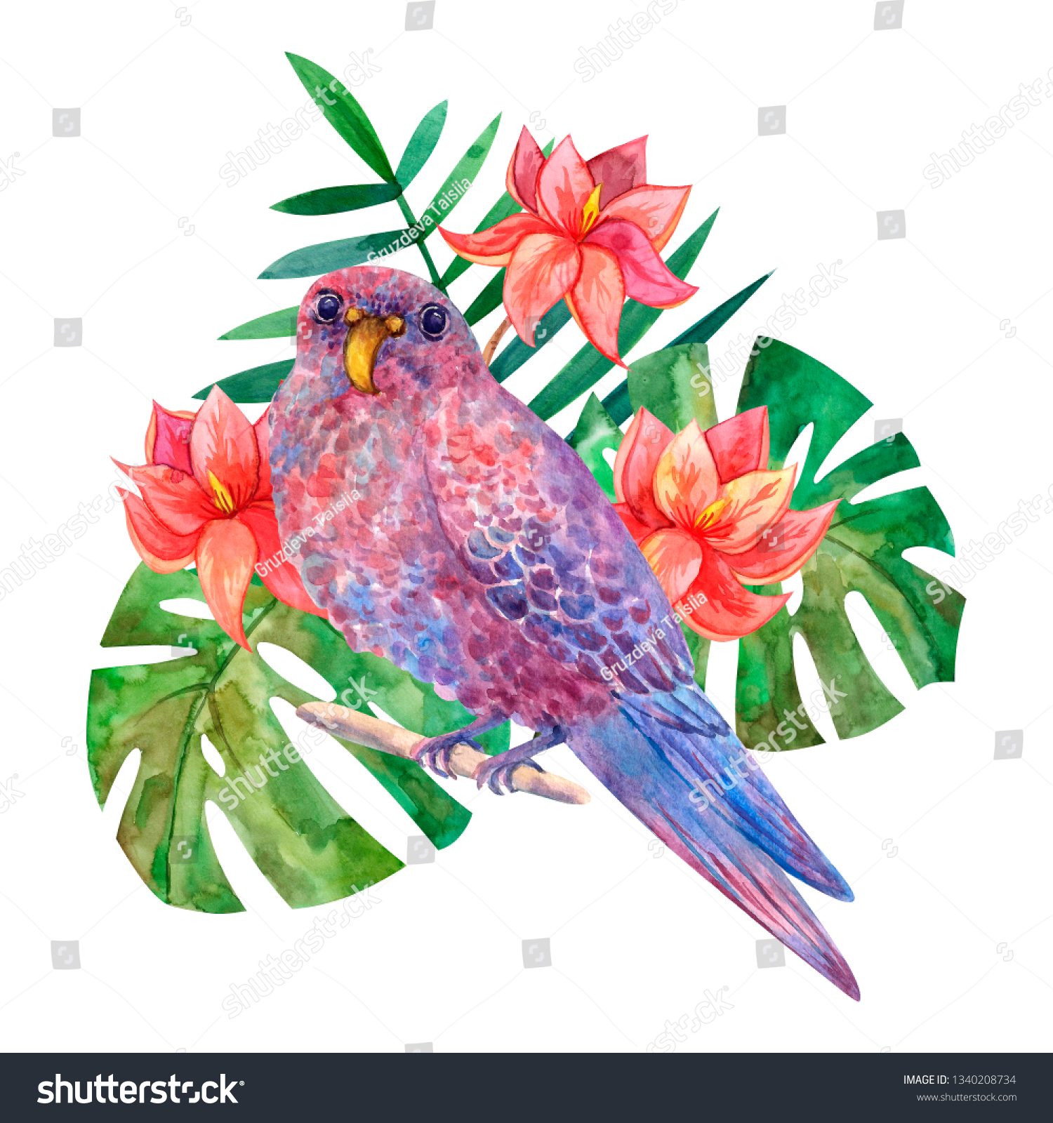 预览