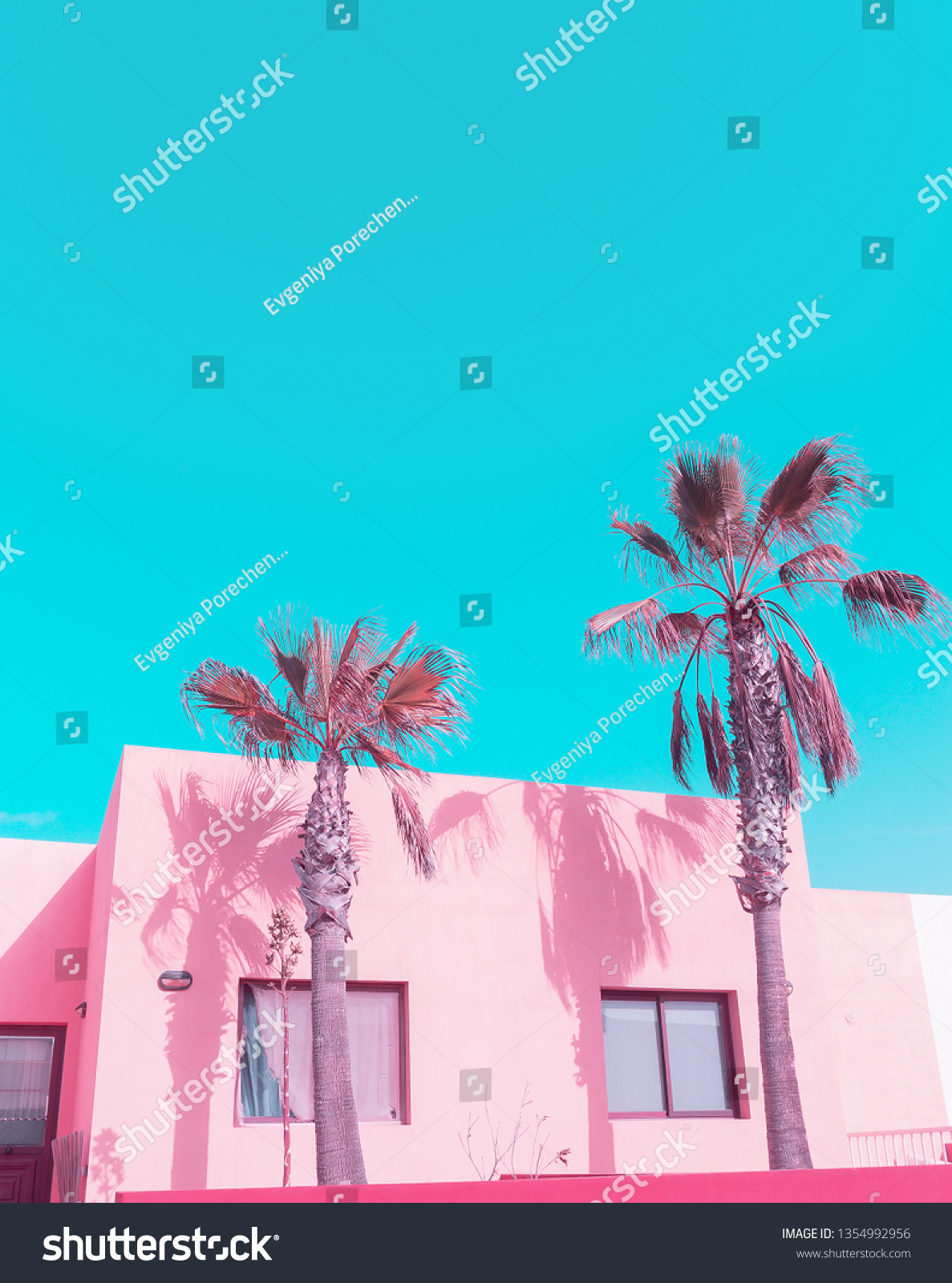 Canary island. Palm. Pink Pastel colours trend. Fashion travel vibes