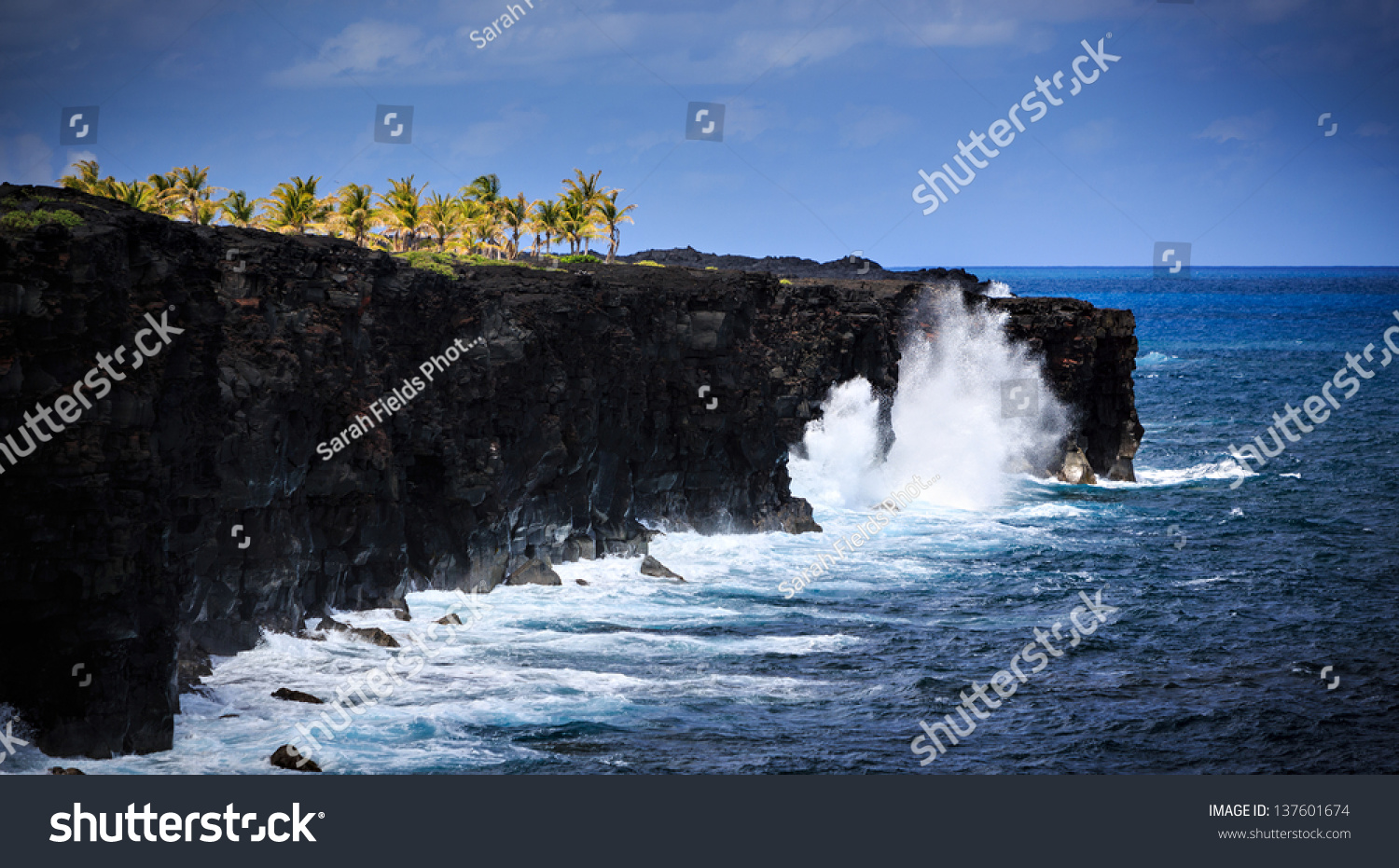 Waves crash along the black lava rock cliffs in the Hawaiian Volcanoes National Park.   This view is at the end of the Chain of Craters Road