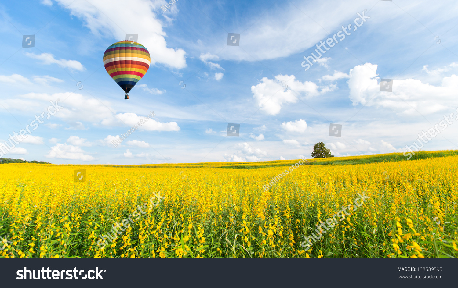 Hot air balloon over yellow flower fields against blue sky