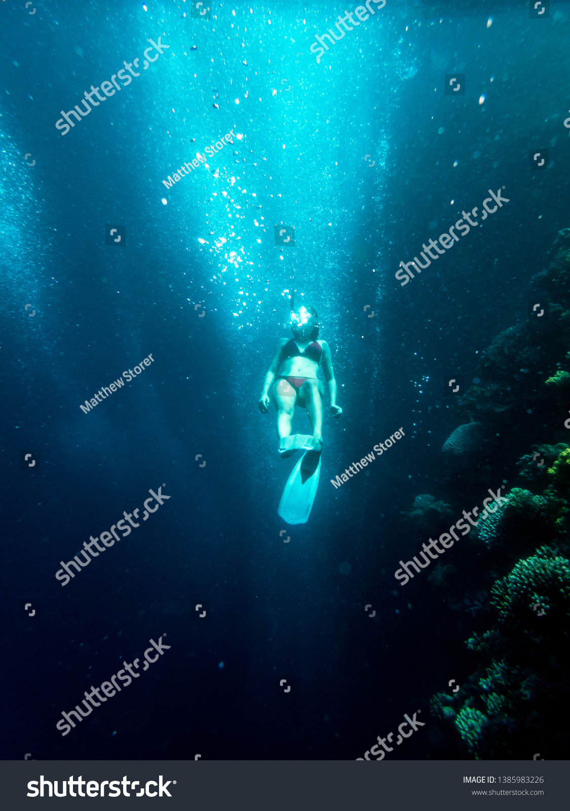 Snorkeling in Dahab Blue Hole reed