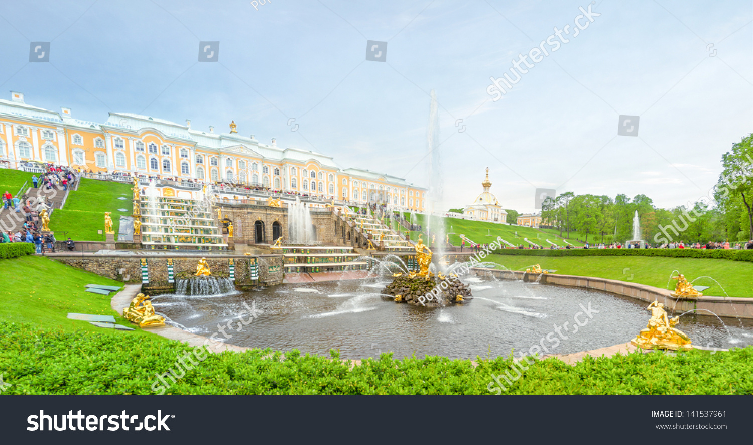 Golden statue of Samson in the park of Peterhof  Russia