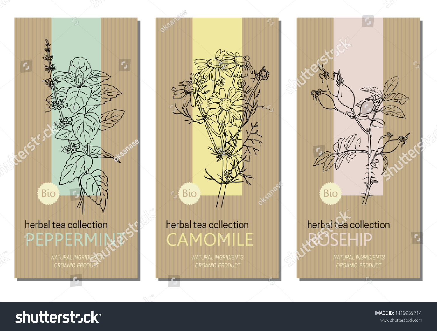 Vector set of herbal tea labels with herbs and plants sketches: chamomile  peppermint and rose hip. Packaging template. Healthy food  bio  organic  natural product  herbal tea.