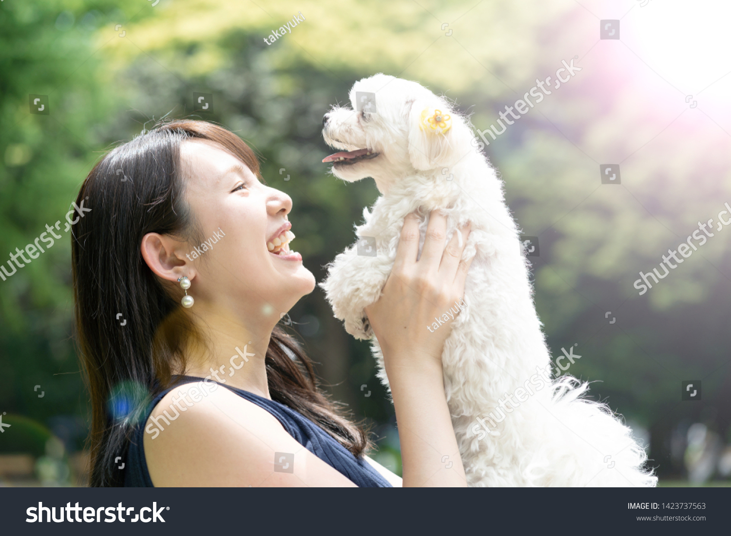 white maltese and young asian woman relaxing in park