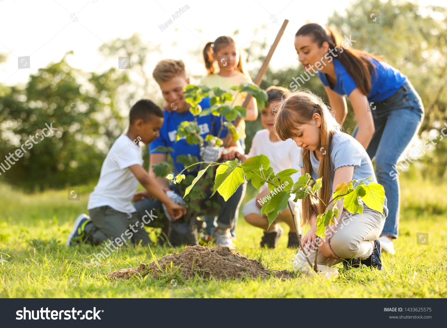 Kids planting trees with volunteers in park