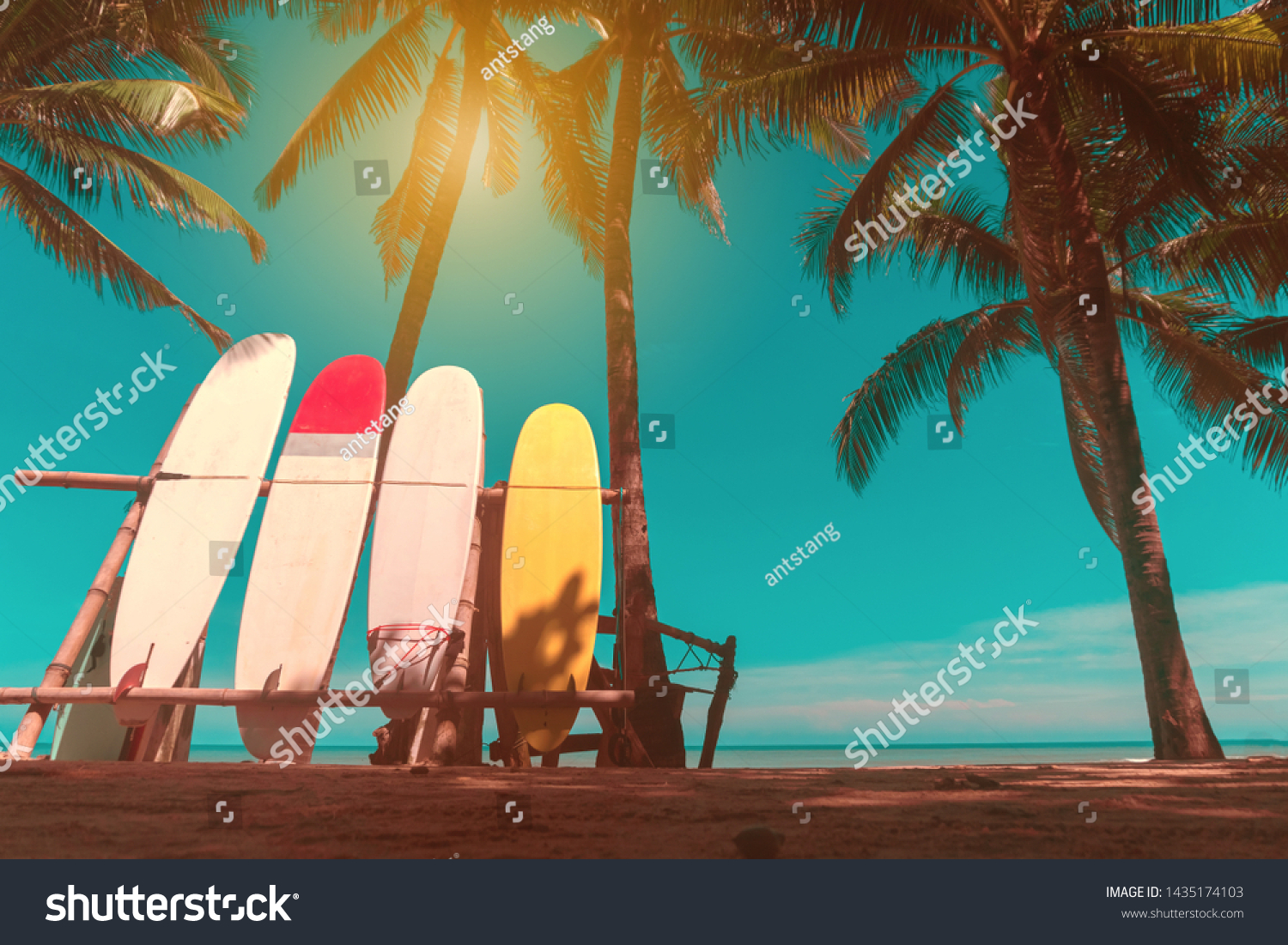 Many surfboards beside coconut trees at summer beach with sun light and blue sky background.