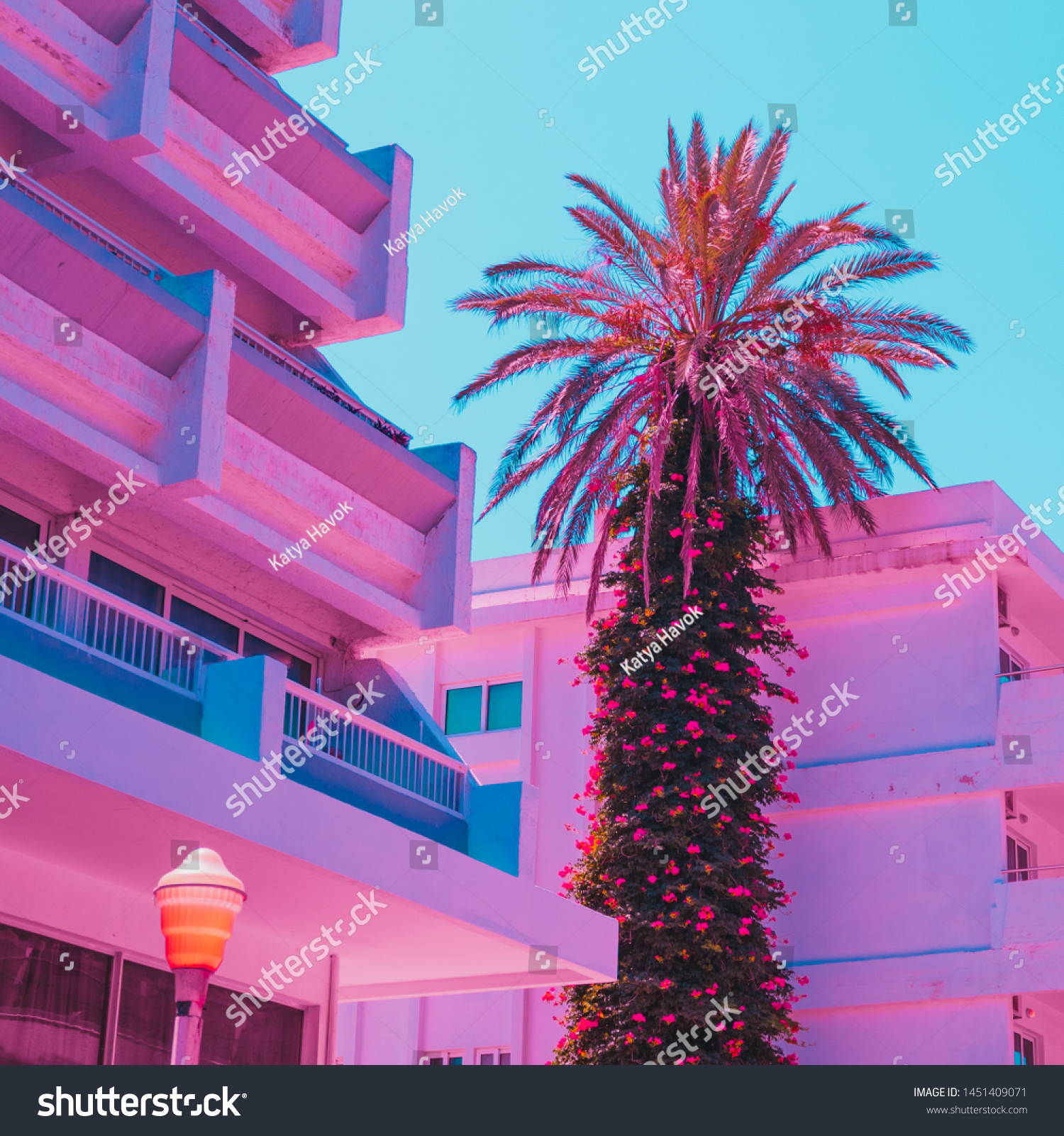 Palm tree among hotels in travel concept. Minimal