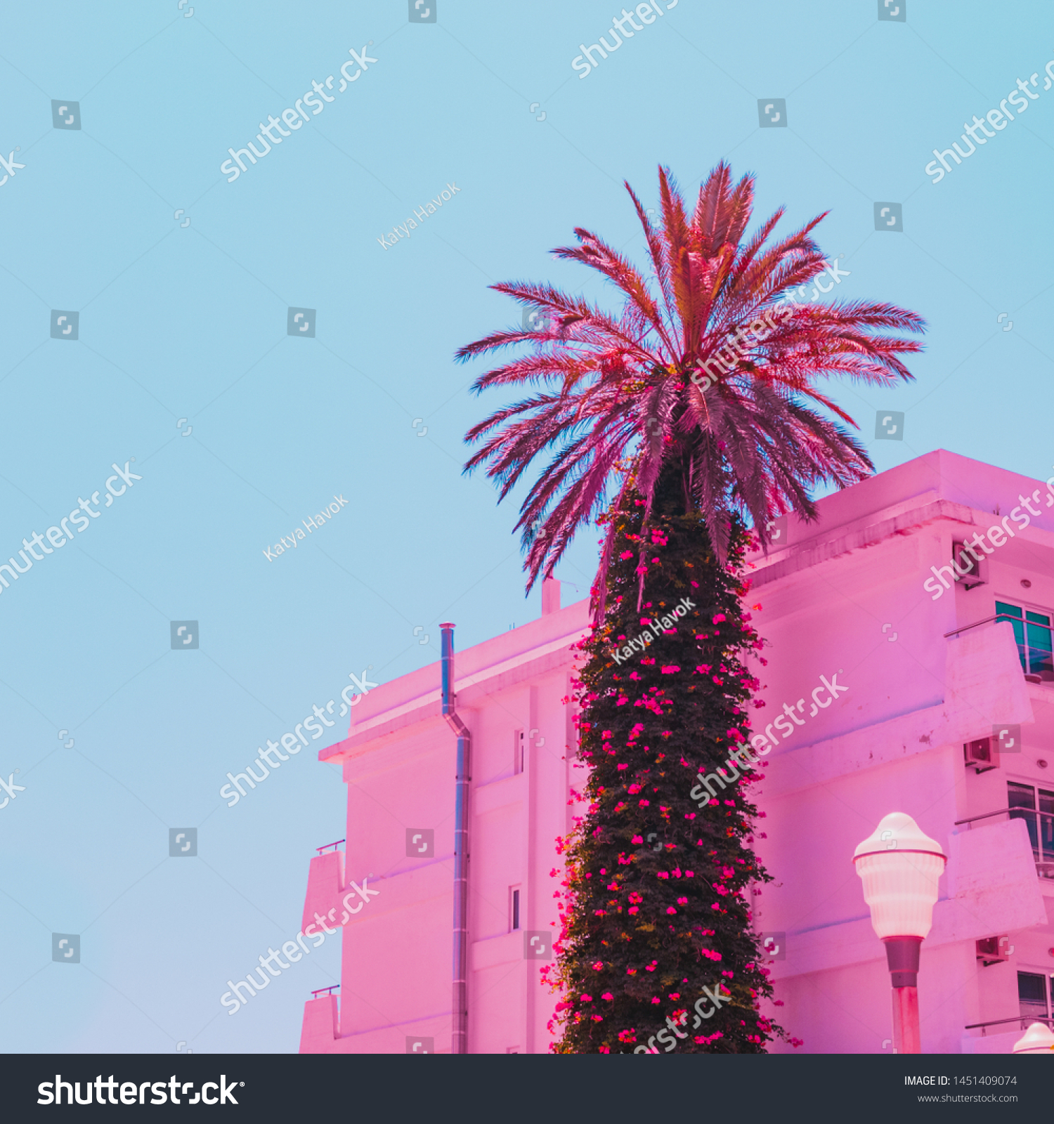 Palm tree in travel concept. Minimal