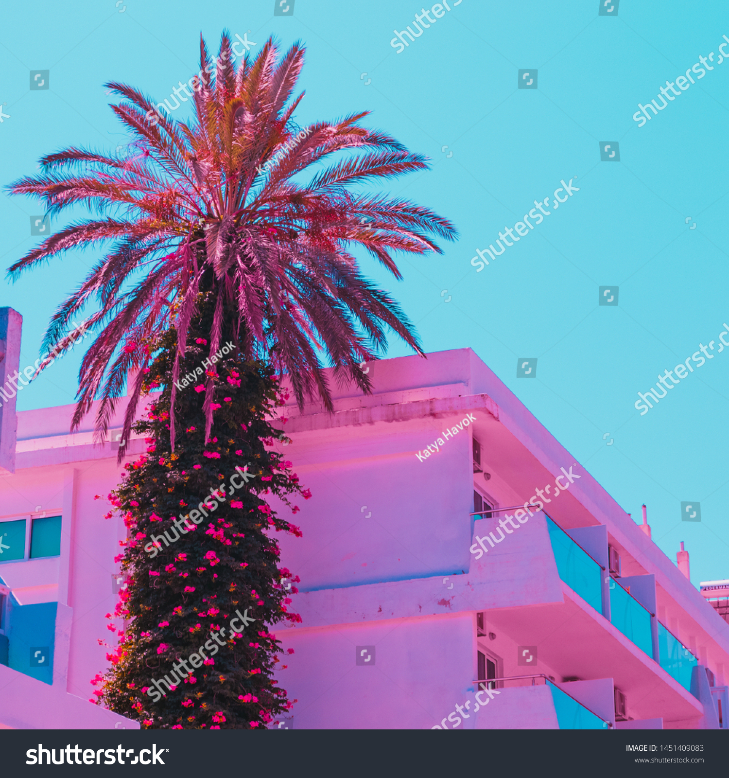 Palm tree among hotels in travel concept. Minimal and surreal