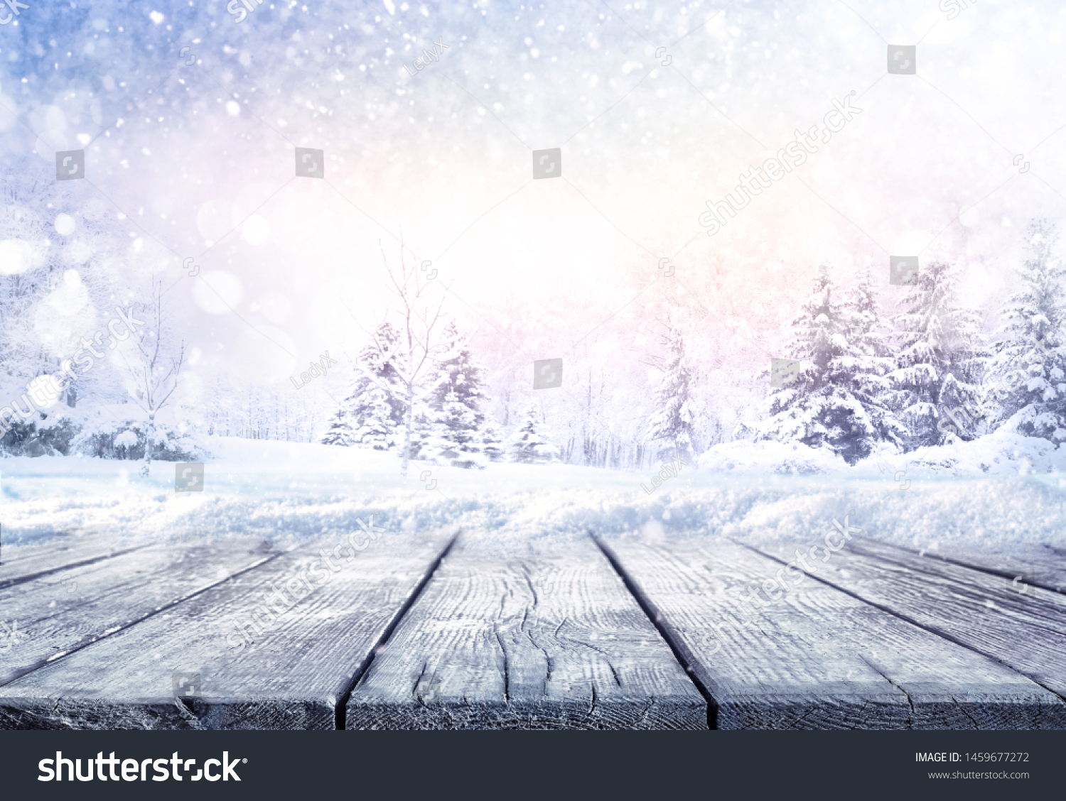 Winter christmas scenic landscape with copy space. Wooden flooring strewn with snow in forest with fir-trees covered with snow on nature.