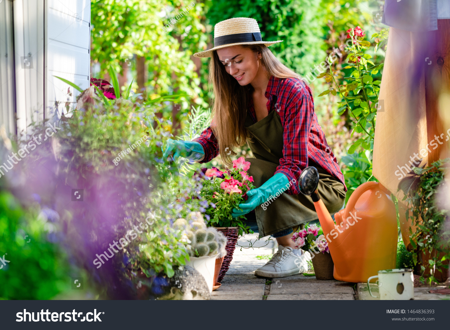Happy gardener woman in gloves and apron plants flowers on the flower bed in home garden. Gardening and floriculture. Flower care