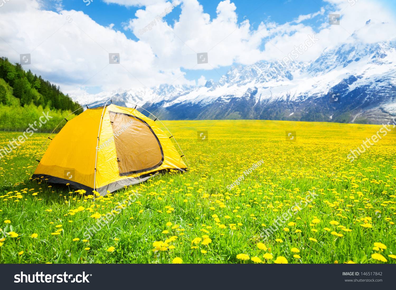 Camping tent in the nice yellow dandelion field with mountains on background