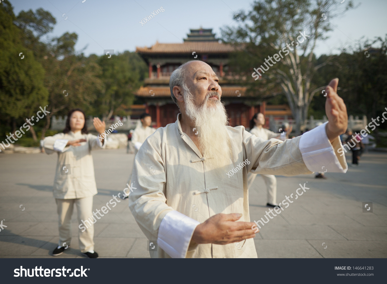 Chinese Practicing Tai Ji