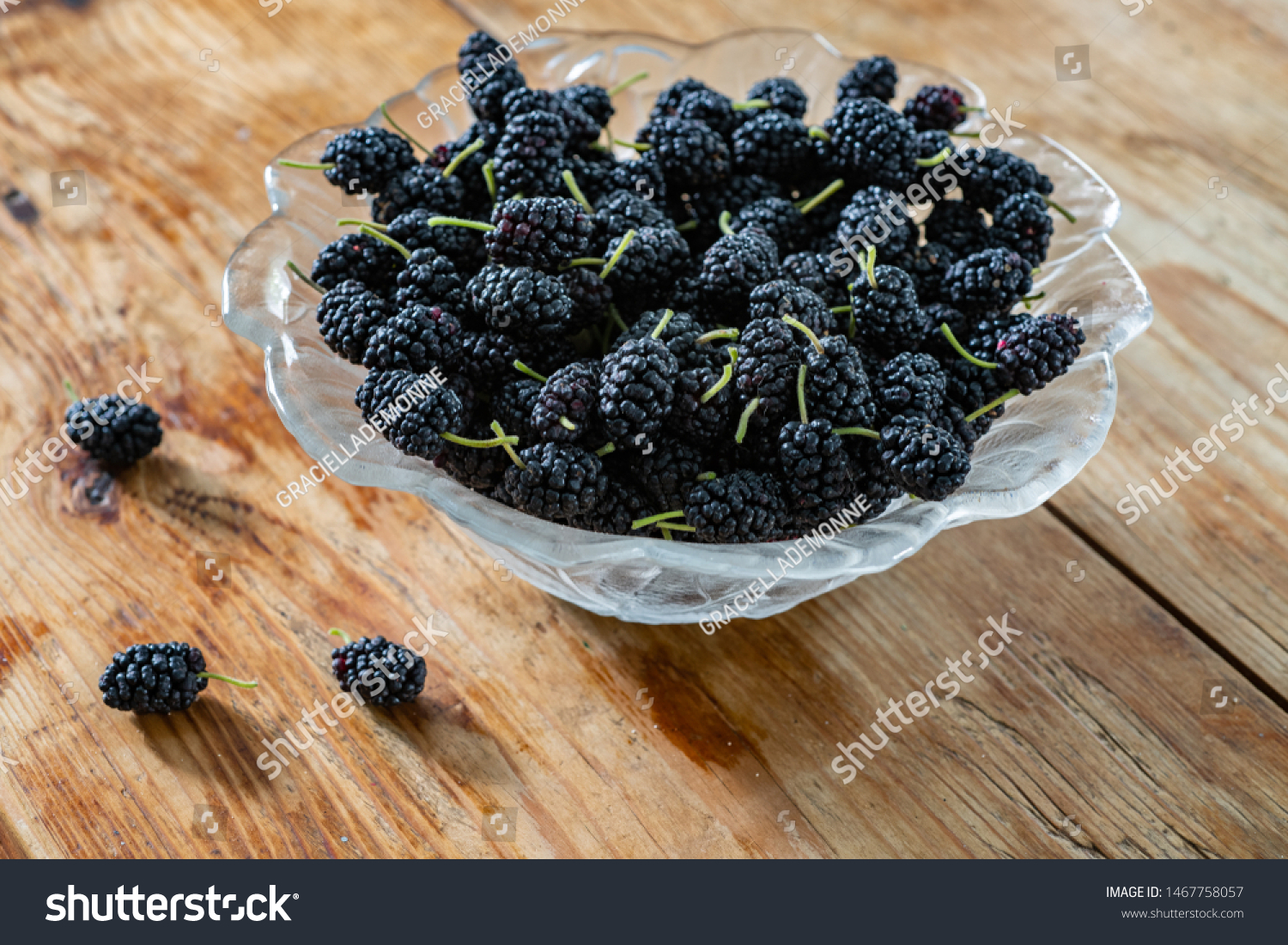 Mulberry
