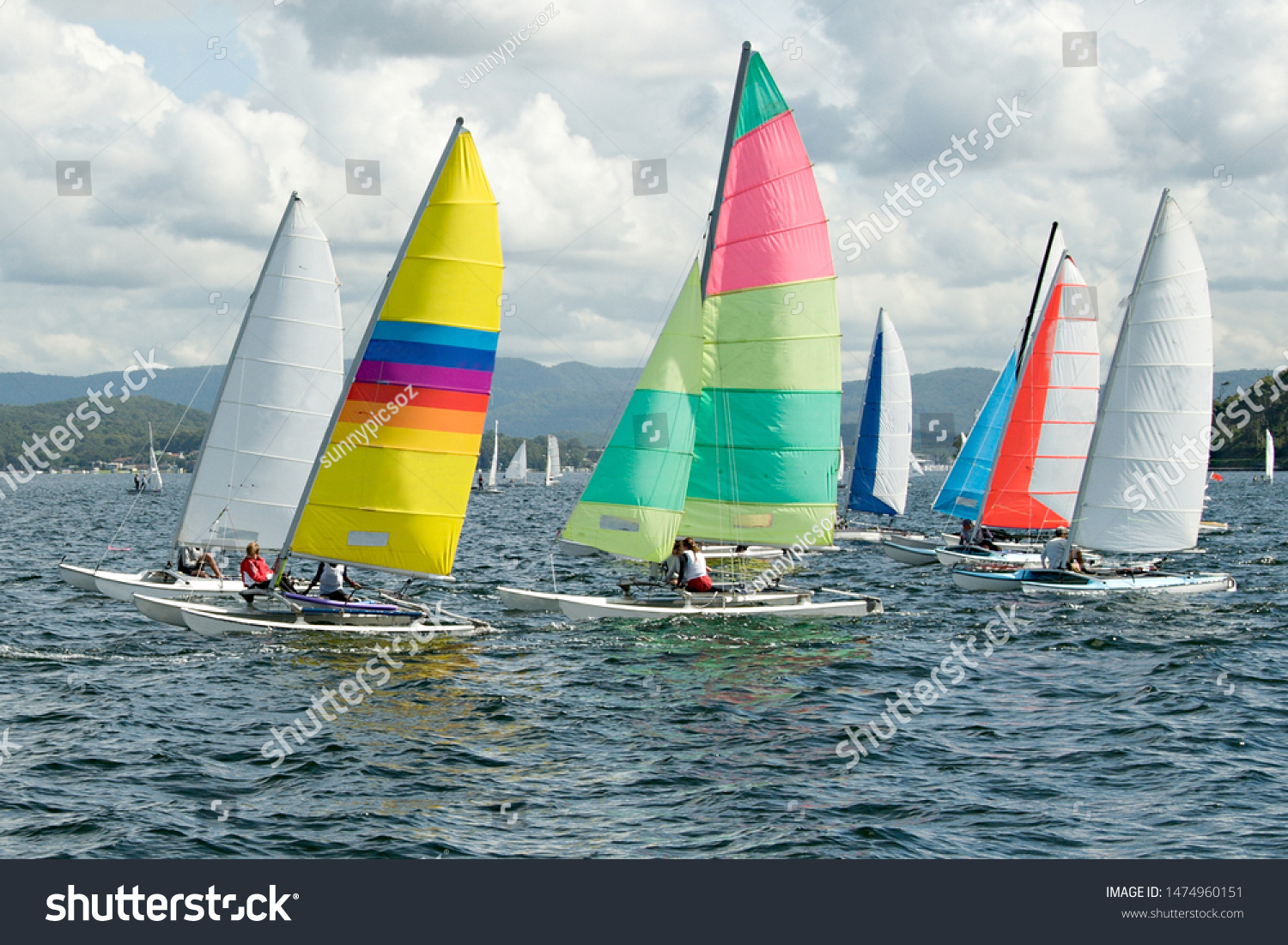 Children sailing in small boats and dinghies with colourful sails for fun and competition. Teamwork by junior sailors racing on saltwater Lake Macquarie. Photo for commercial use.