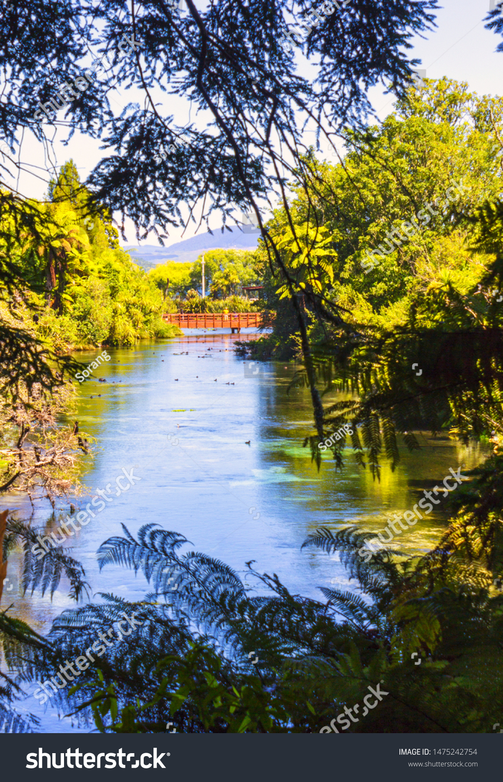 landscapesceneryofcleanandclearwaterstreamathamuranaro