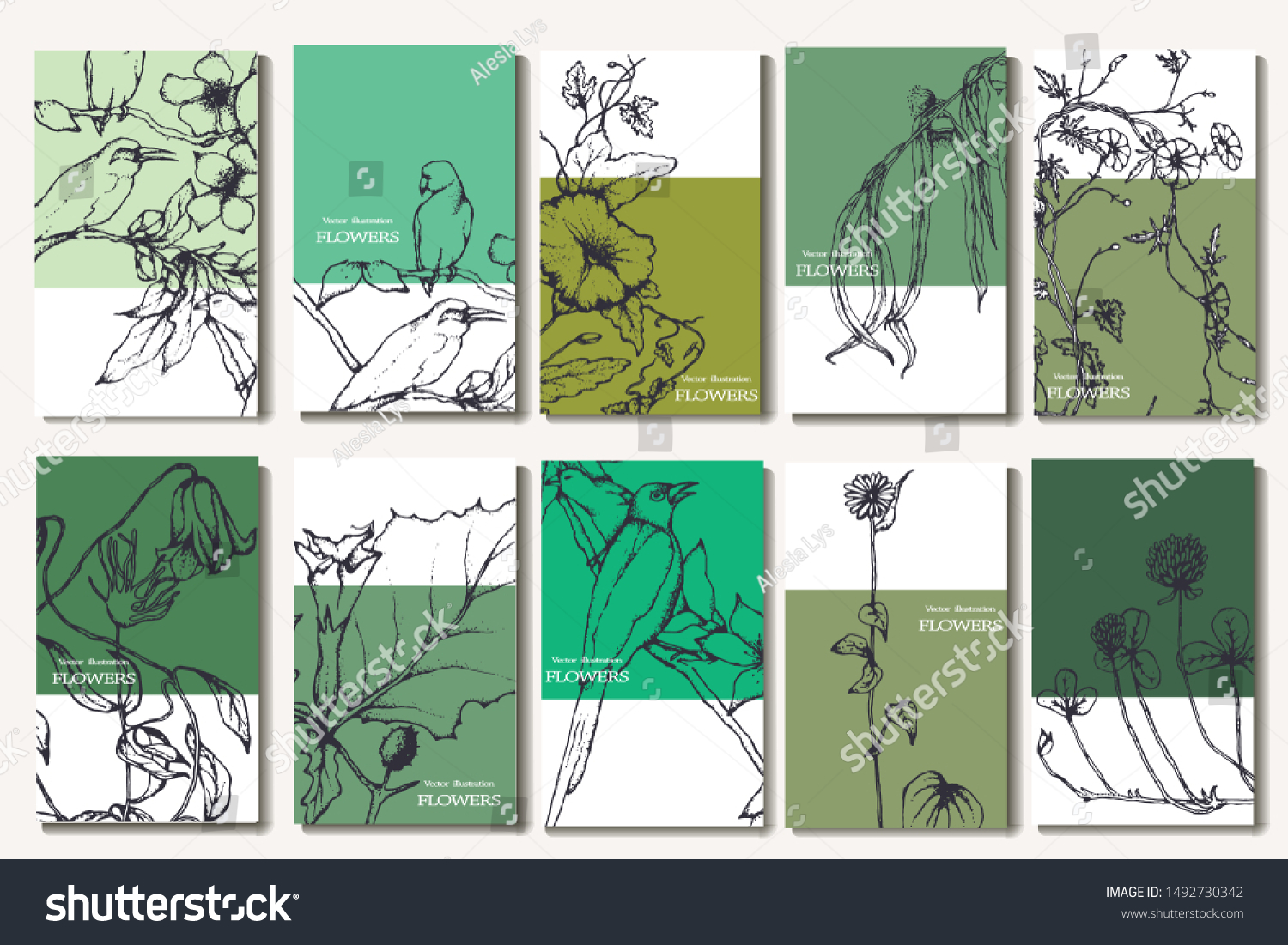 Herbal illustration on label packaging design. Hand drawn vector botanic set with curly flowers and birds