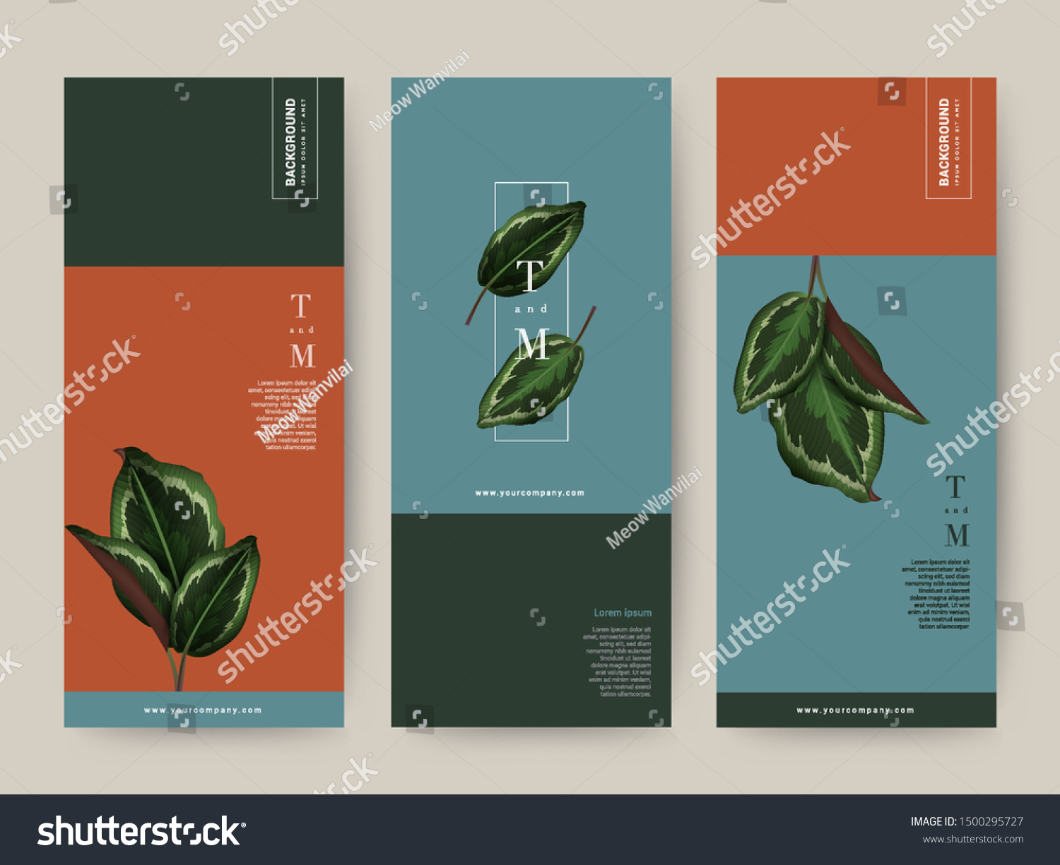 Branding Packaging tropical plant leaf summer pattern background  for Spa  Resort Cosmetic Luxury hotel  logo banner voucher  fabric pattern  organic texture. vector illustration.