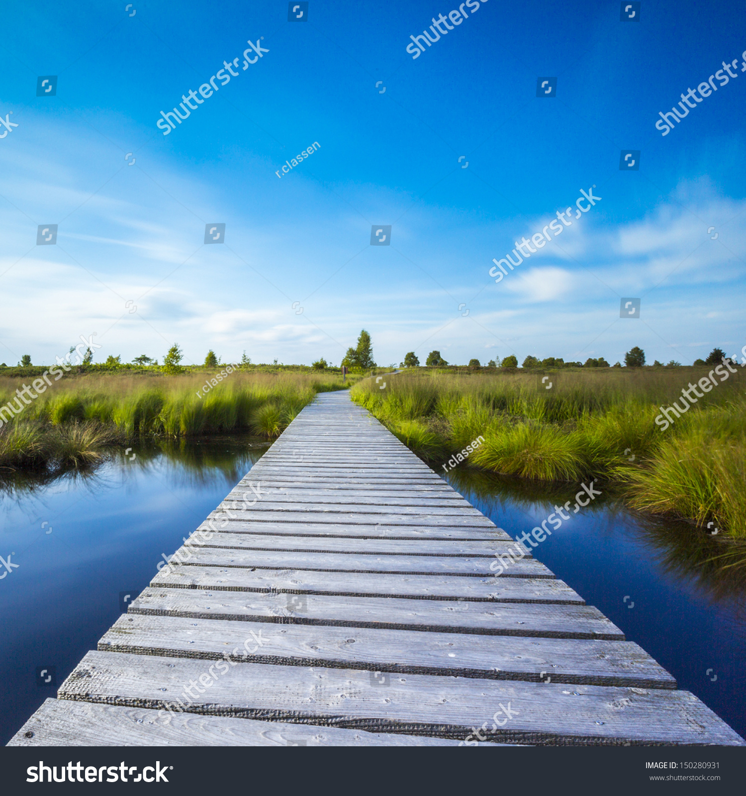 boardwalk over a bog lake with Blue Cloudy Sky