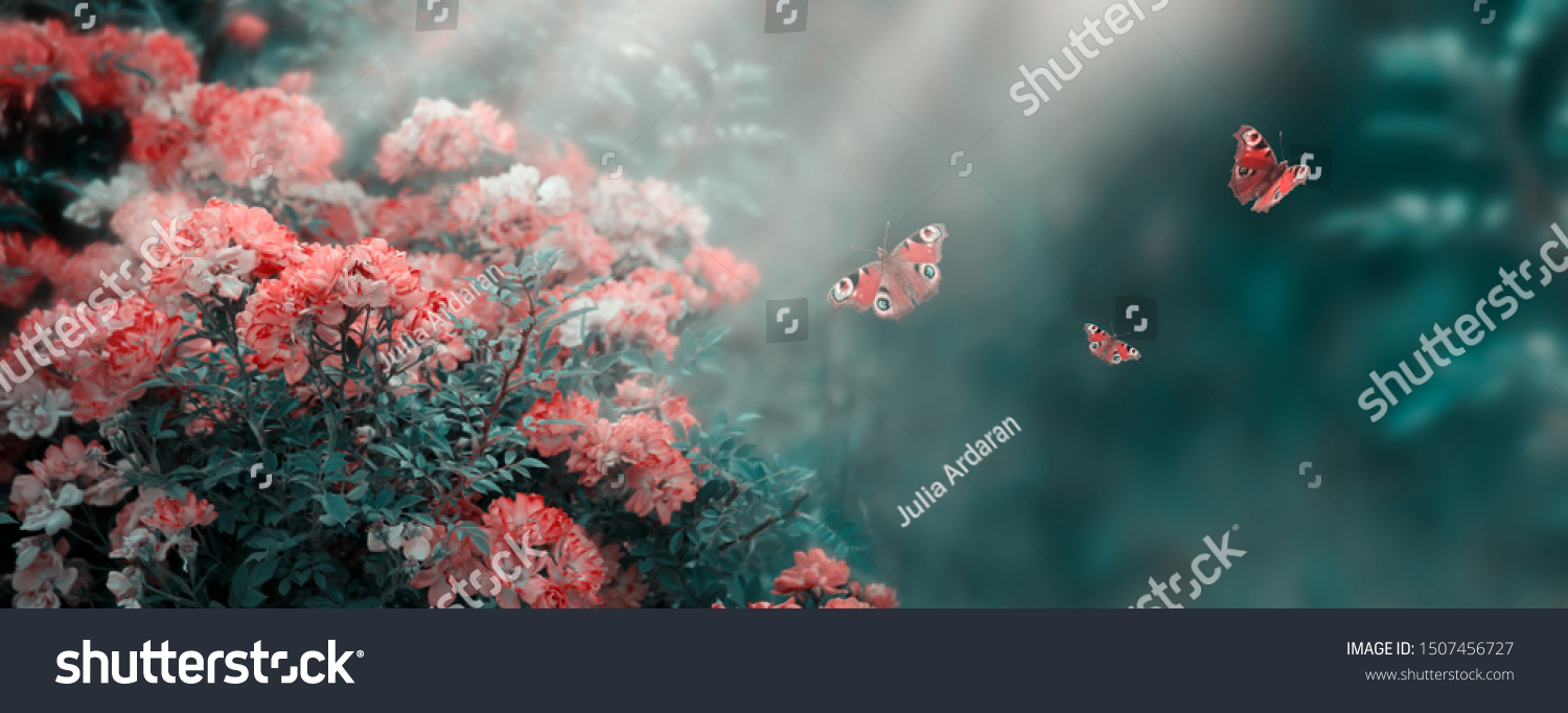 Mysterious fairytale spring or summer fantasy floral banner with rose flowers blossom flying peacock eye butterflies on blurred beautiful background toned in soft pastel colors and shining sun rays