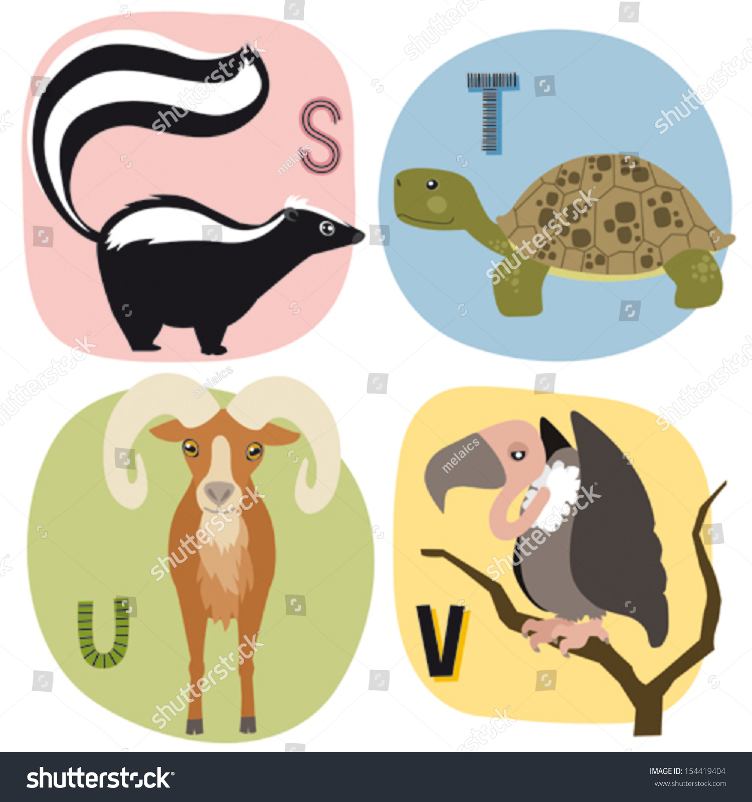 animal alphabet for kids s-v