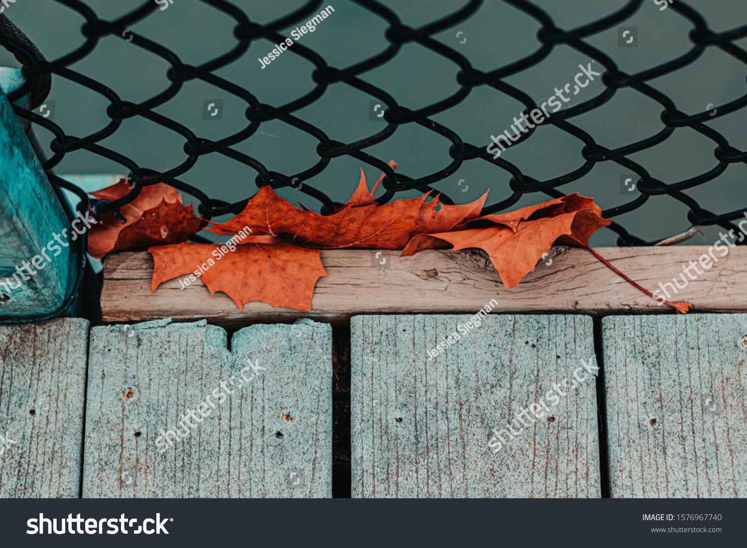 Vivid orange and teal leaves against fenced suspended bridge over a river in north georgia near the mountains and forest. Moody feel for seasons