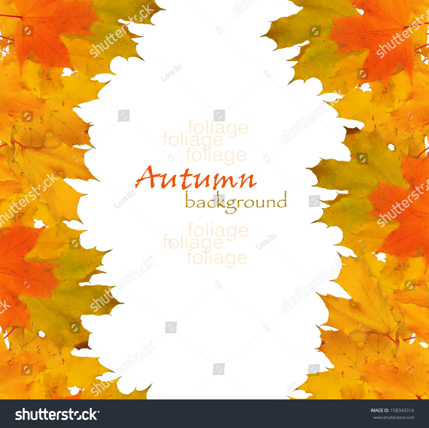 Autumn maple branch with leaves isolated on a white background