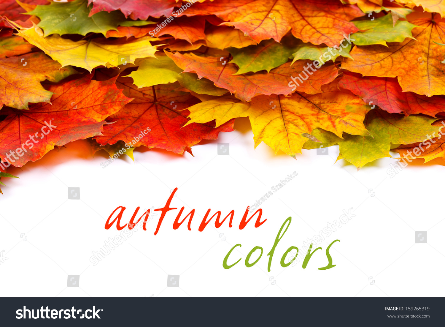 Colorful autumn leaves border with place for your text 