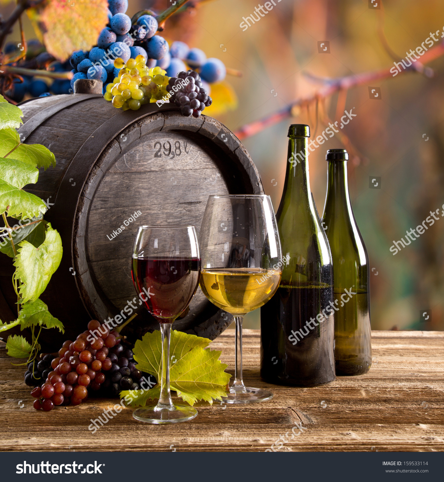 Wine with barrel on vineyard 