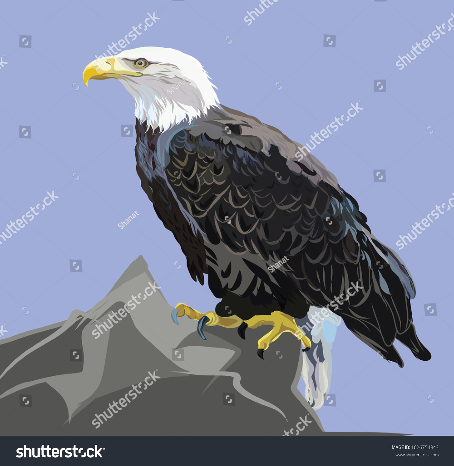 aneagle