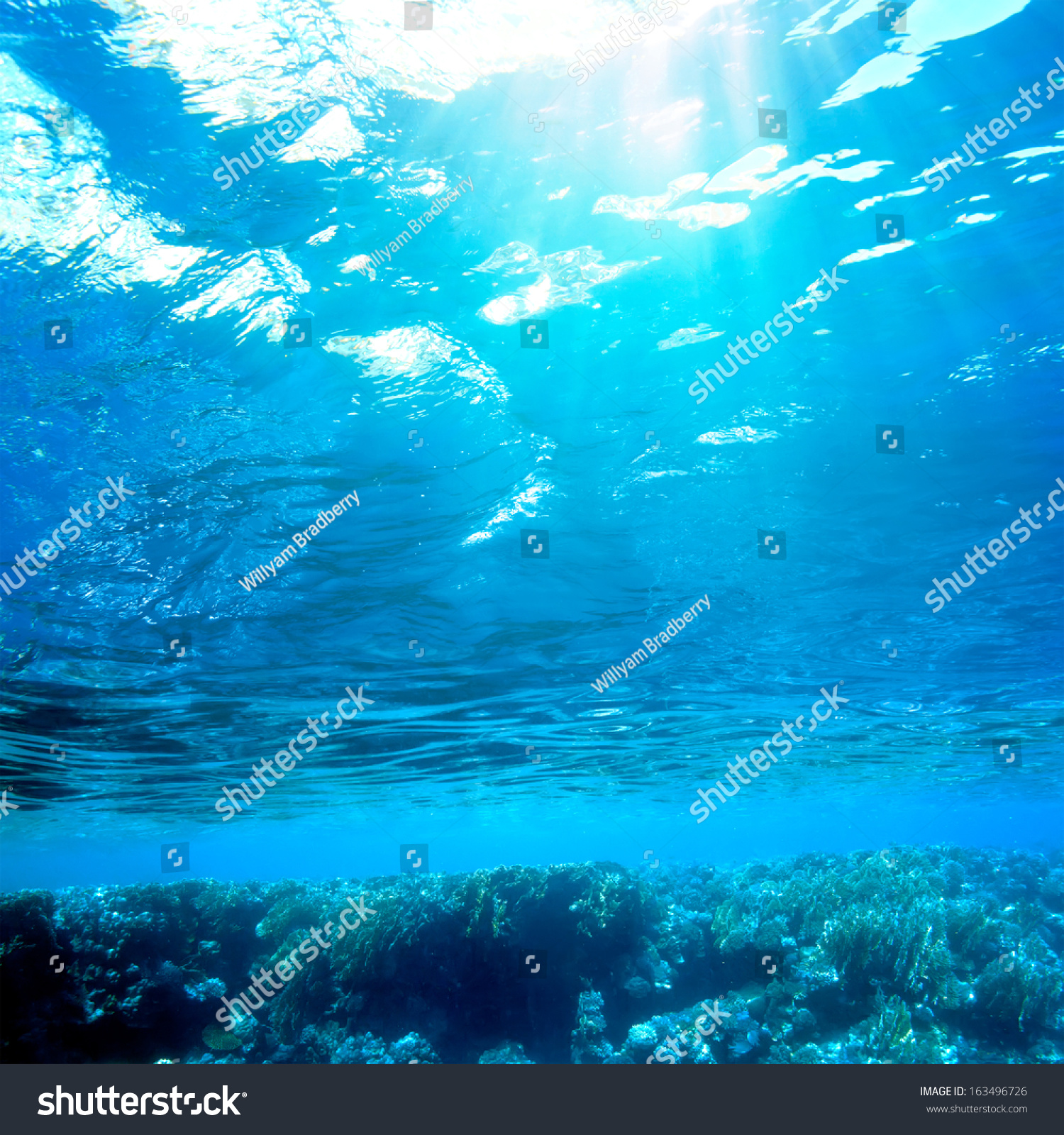 abstract underwater scenery sunrays going through water surface in deep blue sea 