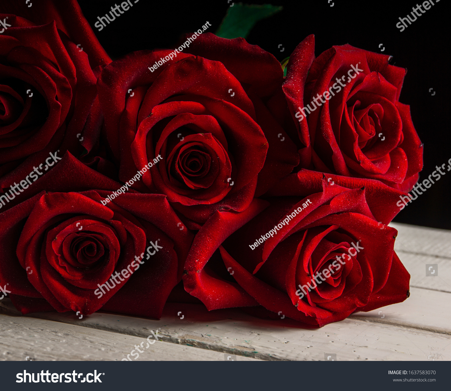 A bouquet of red roses covered with small drops of water lying on a white wooden table
