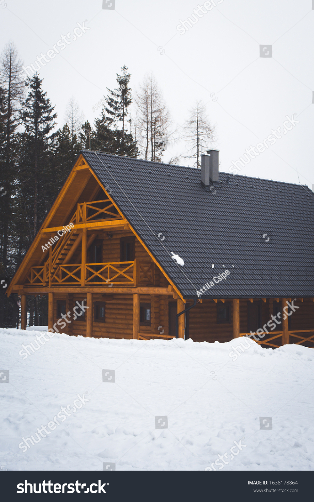 Winter vacation holiday wooden house in the mountains covered with snow ...