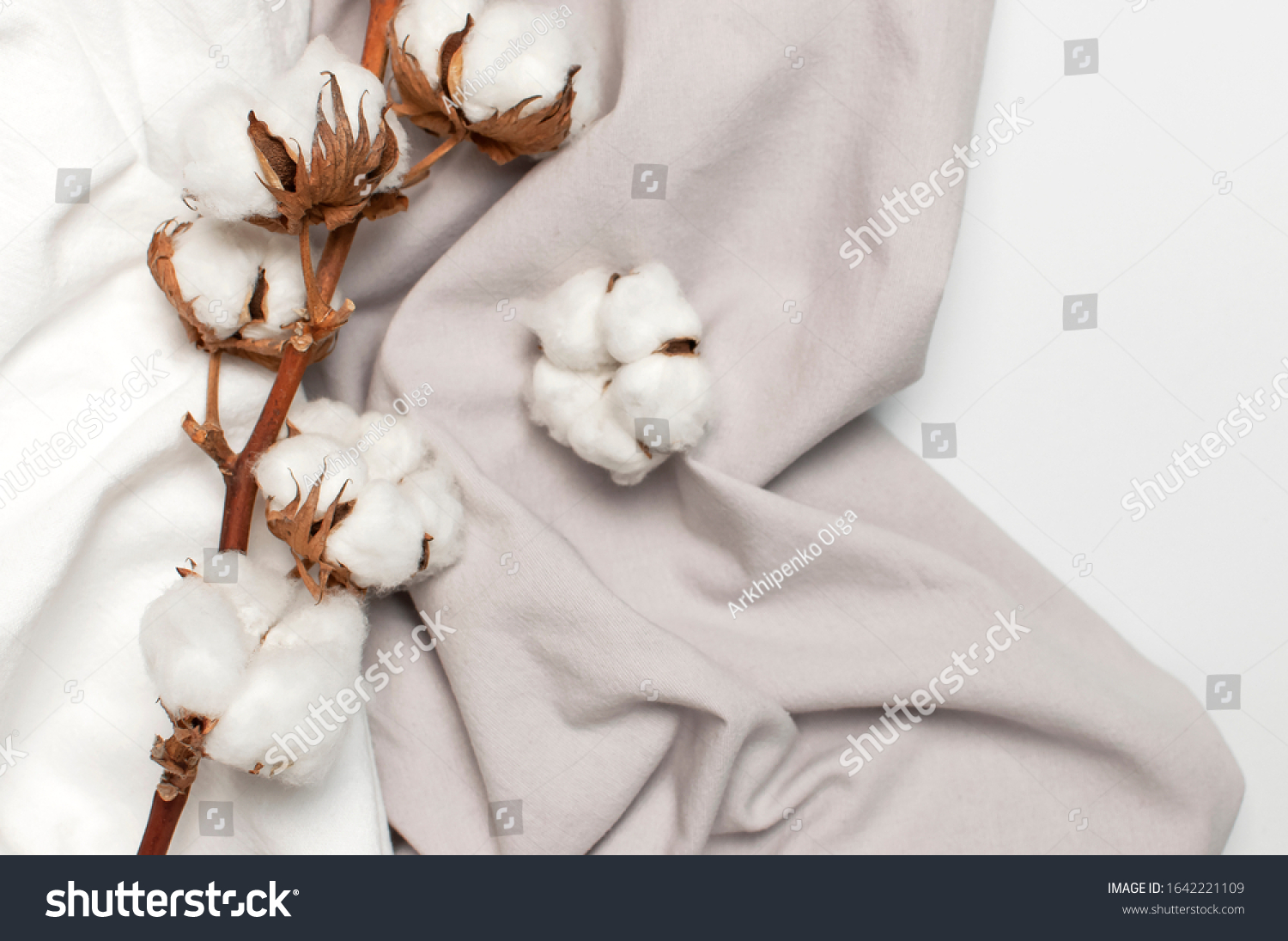 Flat lay Beautiful cotton branch white and gray fabric on gray background top view copy space. Natural cotton fabric texture. Delicate white cotton flowers. Light cotton background. Eco textiles