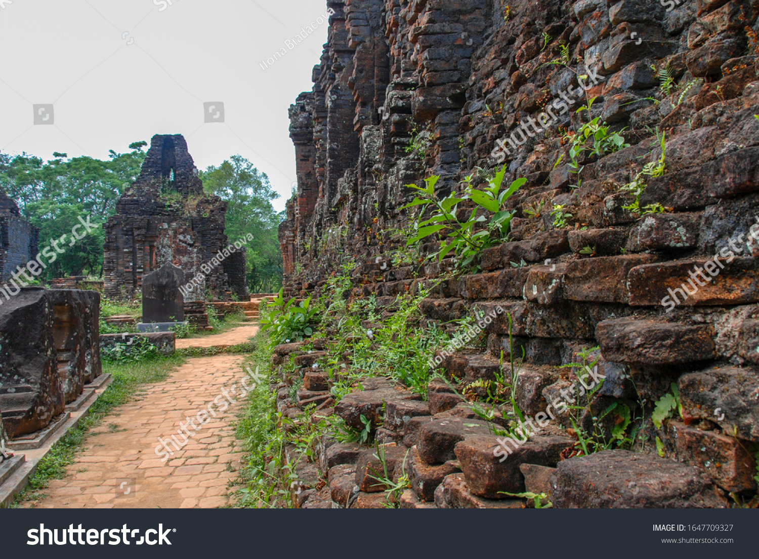cluster，cluster全燃美塑仪真的有用吗