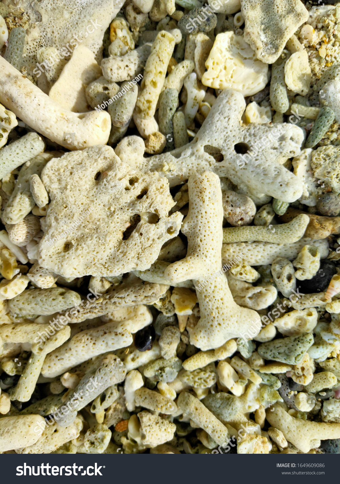 the texture of the rough coral reefs on the nusakambangan beach