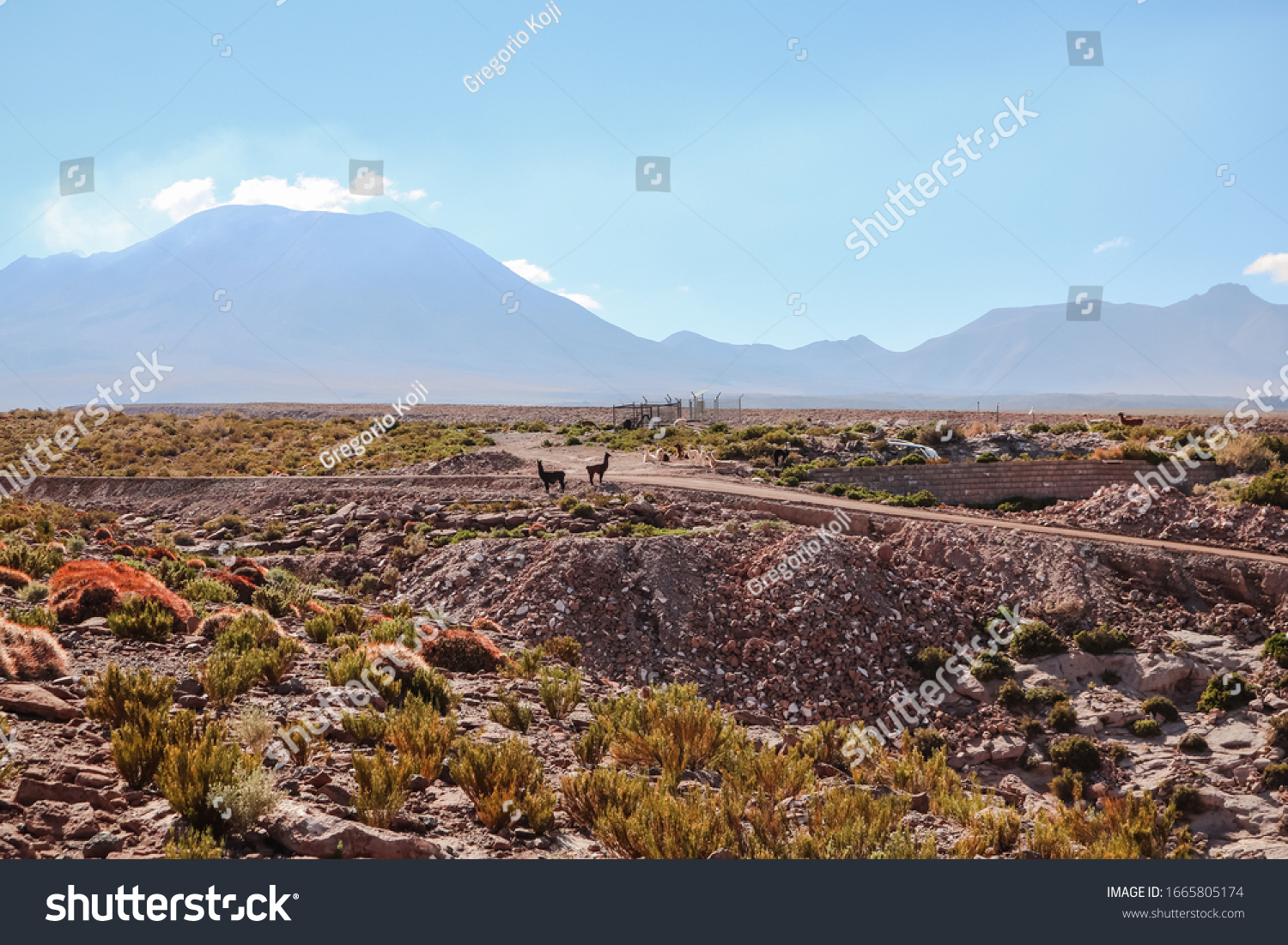 atacama