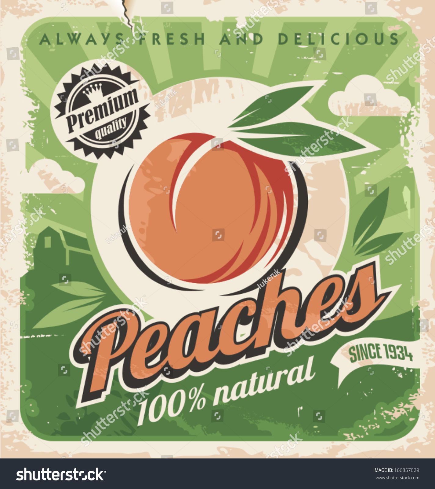 Peaches  vintage poster template. Retro design concept for fruit farm. 