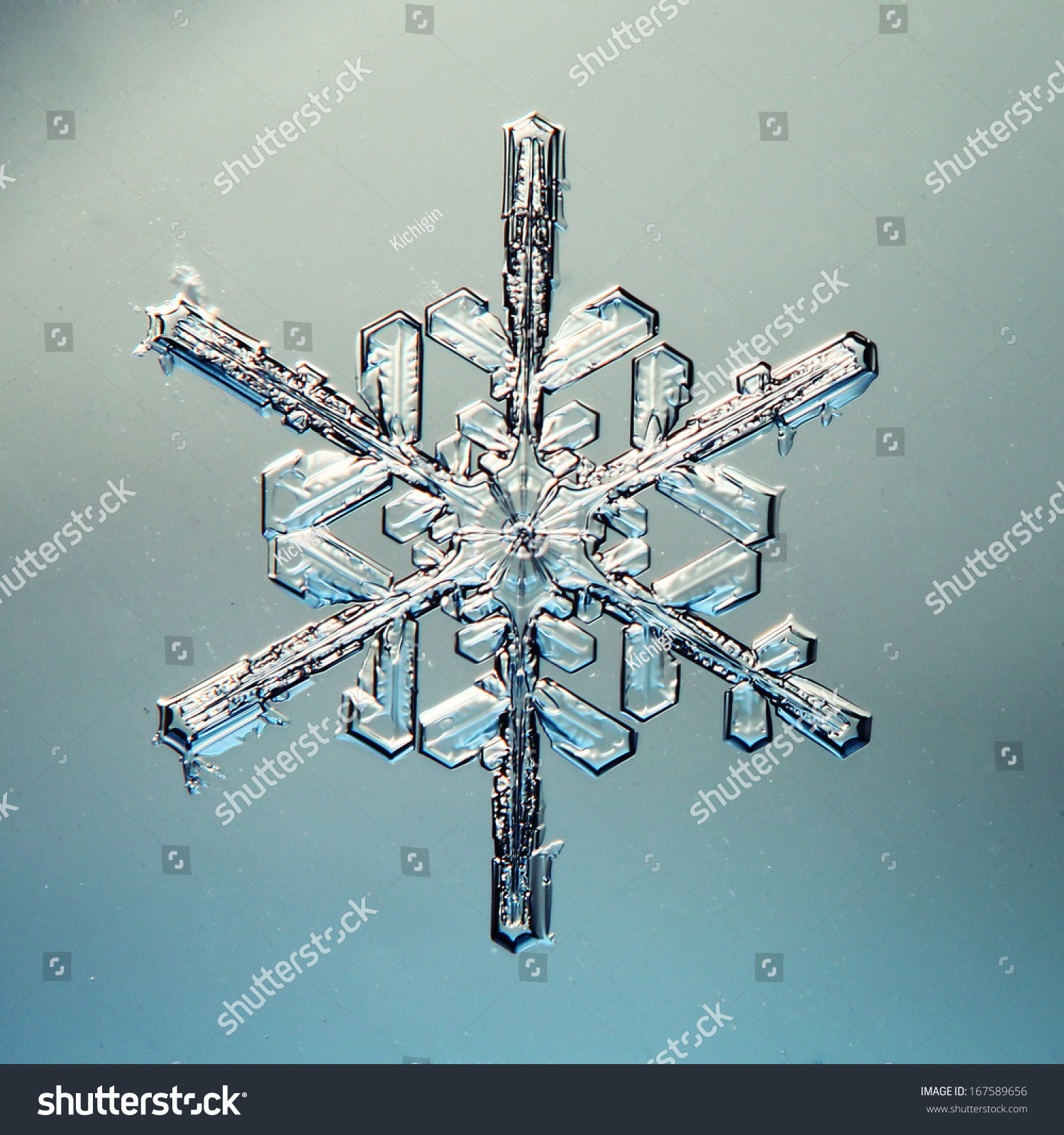 macro snowflake ice crystals present natural