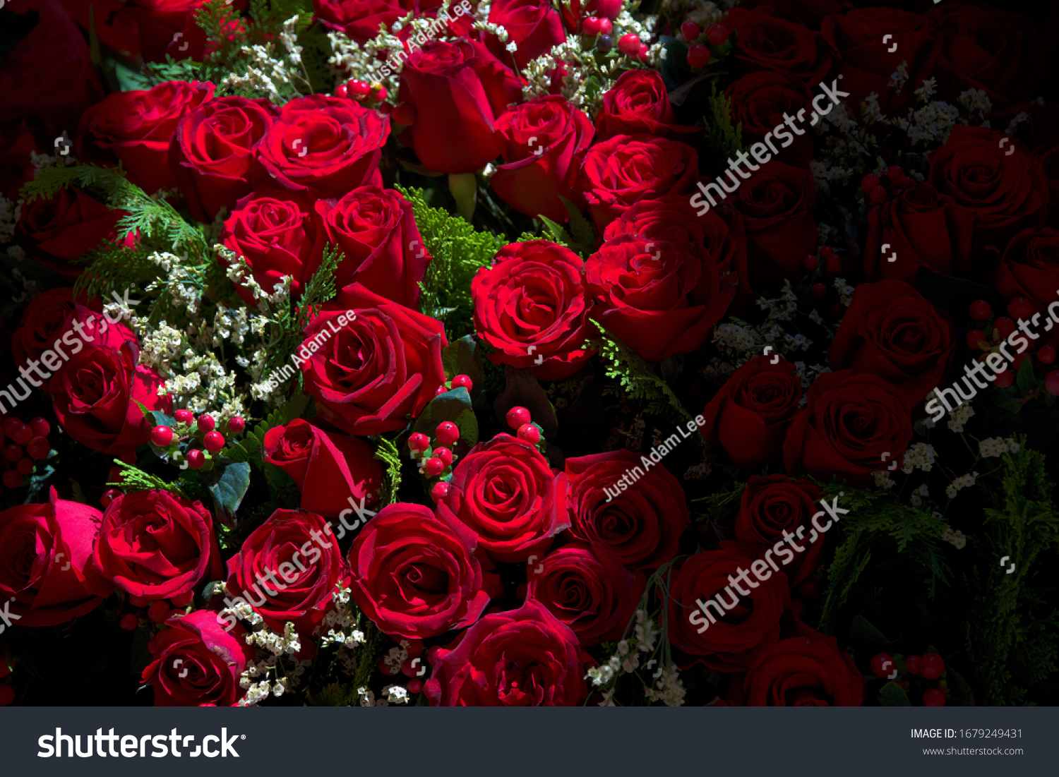 Wreath of red roses in sunlight and shadow with space for copy
